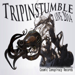 Tripinstumble~Live~ PsyLand~2014~FREE DOWNLOAD~CosmicConspiracyRecords