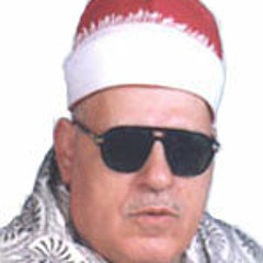 الشيخ أحمد أبو المعاطى قصار السور