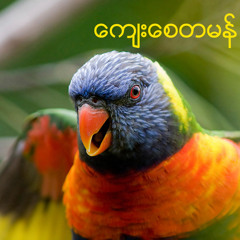 Kyay Say Ta Mann - ေက်းေစတမန္ - စႏၵရားအတီး