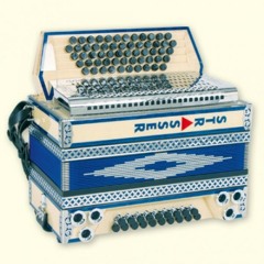 Tiroler Buam Polka - Volksmusik Steirische