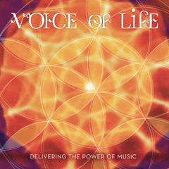 VOL Shine - Smule exclusive track