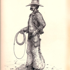 The ballad of Howard Council