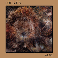 HOT GUTS - Will Carry