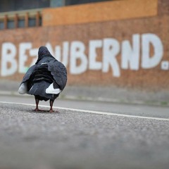 beziehungsweise bezaubernd vol. 2