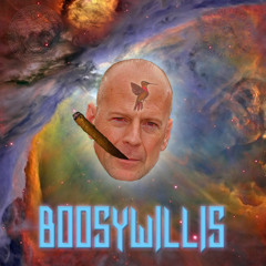 BoosyWillis