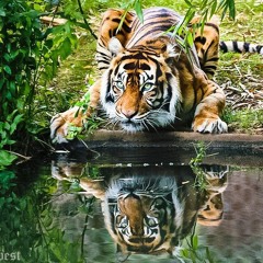 E Minor Blues (flac file)EXTENDED REMIX