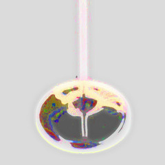 Bo Bo Nomad VS New Dinosaur Extinction - Disco Butter And Molasses