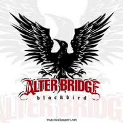 Alter Bridge - 'Rise Today' - Unplugged   TeamRock