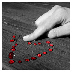 يا من يحن إليك فؤادي - فيروز