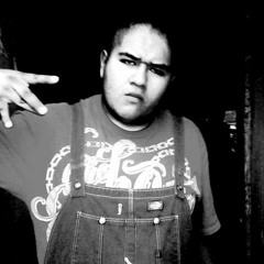 Aktivado y Lento (SANT XL) 2014