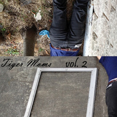 03 I Will, Sirvive Love Donna Sumer Demo