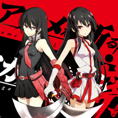 Akame ga Kill! Opening - Skyreach TV SIZE (Cover by Mik)