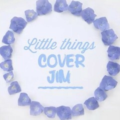 Little things one direction cover
