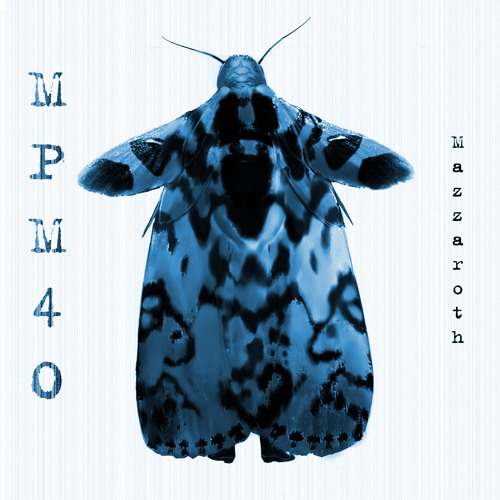 Phantoms