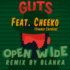 Open Wide Remix by Blanka Feat Cheeko