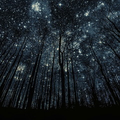 Ambient and Melodic dreams