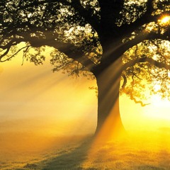 Daybreak