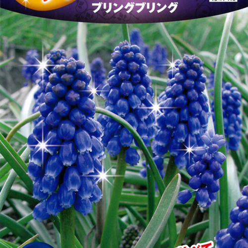 Stream mskr by haguruma | Listen online for free on SoundCloud