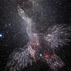 Cygnus