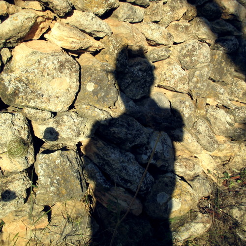 PAUL DALEY (ex Leftfield) BOLZ BOLZ "TAKE A WALK" PAUL DALEY REMIX 2002