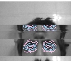 MVXT - SPICE X SHOLDER