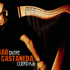 Sabroson(trio with John Scofield