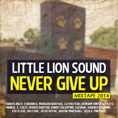 Mixtape | Little Lion Sound | Never Give Up 2014