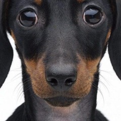 Fortilive - Wannabees (Nomadic Remix)