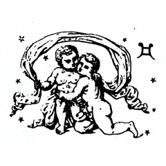 Gémeaux Singe