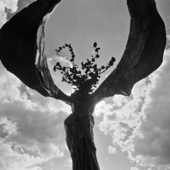 Ryan Coffee - Spread Your Wings