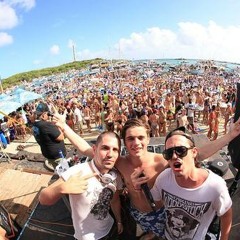 Martin Garrix Ft Dimitri Vegas & Like Mike - Animal X Tremor (Mashup By DeeJay Crazy D)