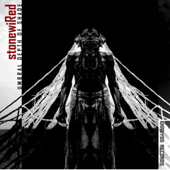 Stone Wired - With The Eyes Of A Blind