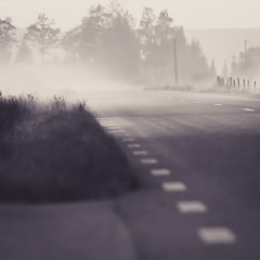 The ballad of Bruce Banner and the green passenger