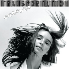 Chandra - Get It Out Of Your System
