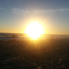 Someday my prints will come