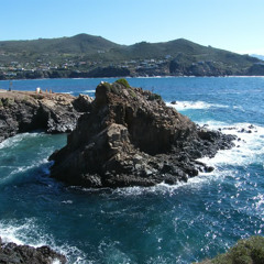 Reverie - (A. DePue)