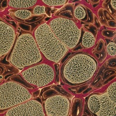 perderelhilo 一日の間での