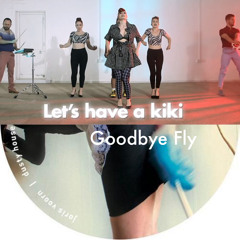 Joris Voorn vs Scissor Sisters - Goodbye Fly/Let's Have a Kiki (ENZO201 Mashup)