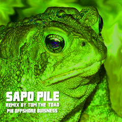 SAPO PILE RMX by Tom the toad ( P18 offshore Unit)