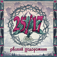 25/17 "Последний Из Нас"
