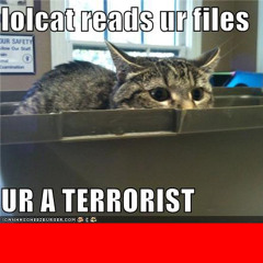 Howard Terror Alert1