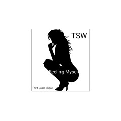 Feeling Myself -TSW