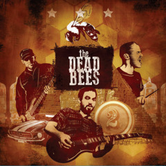 02 Drums In Montreal