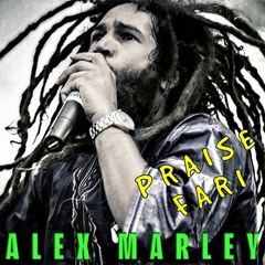 Heart Of The Battle By Alex Marley