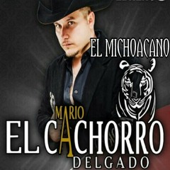 El Michoacano - Mario El Cachorro Delgado (Estreno 2014)