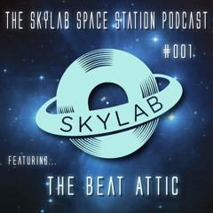 The Skylab Space Station Podcast  (Hosted by Danger Bay)