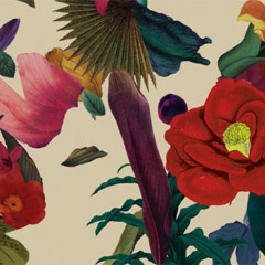 It All Feels Right - Washed Out ( cover )