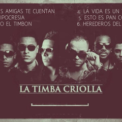 Llego el Timbon