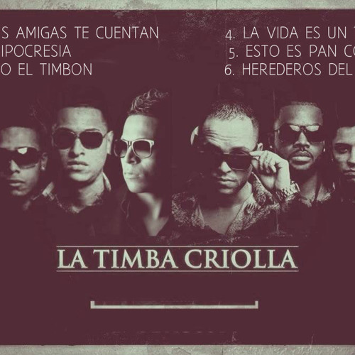 Llego el Timbon