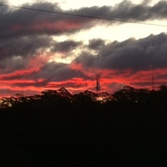 Zen Electric (C#G#D#A#) mix 15.9.14